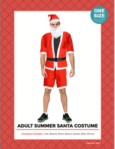 adult summer santa costume