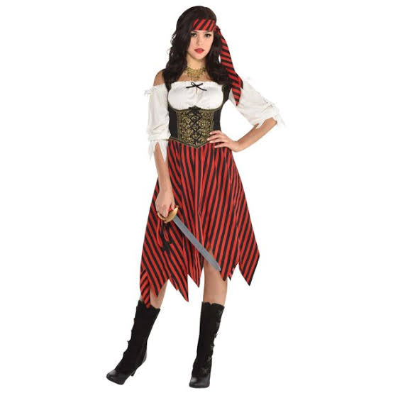 Pirate beauty (adult size) costume