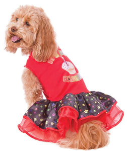 “Barkday” dog costume