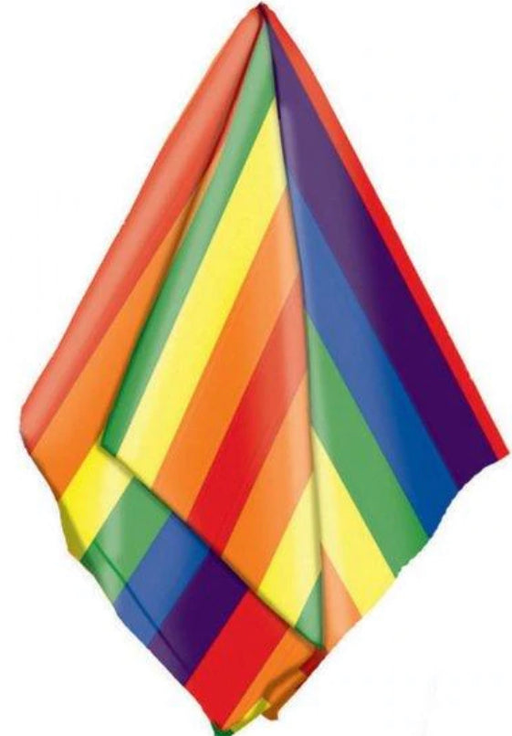 Rainbow bandana